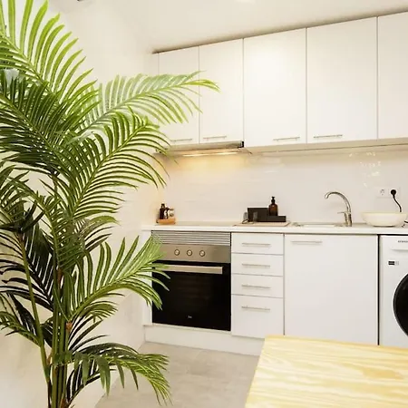 Casa Do Fado Alfama Lissabon